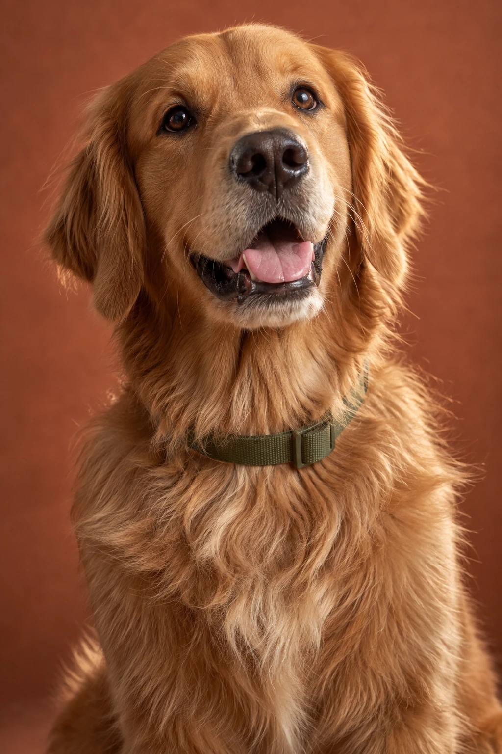 Retrato de um golden retriever com pelagem dourada e coleira verde